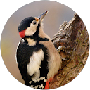 Deepon Gupta profile picture